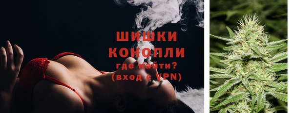 хмурый Бронницы