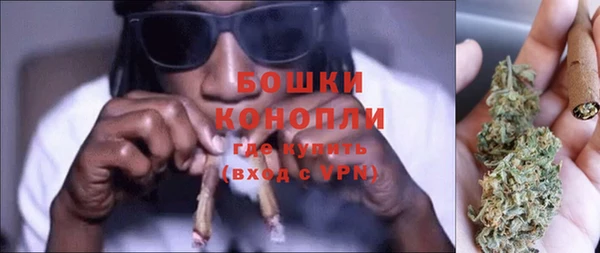 дмт Бородино