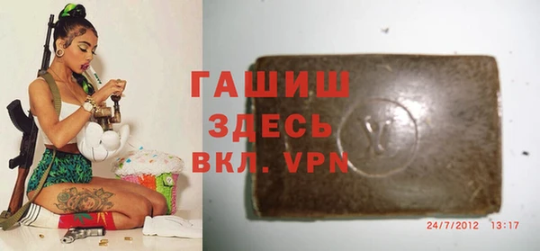 дмт Бородино