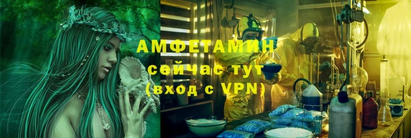 дмт Бородино