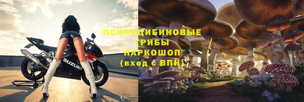 дмт Бородино