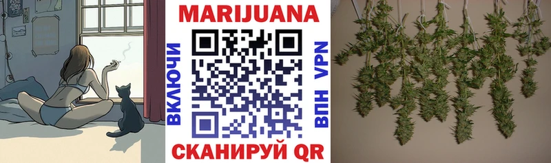 Бошки Шишки планчик  Семёнов 